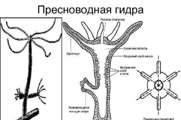 Кракен даркнет маркет ссылка тор